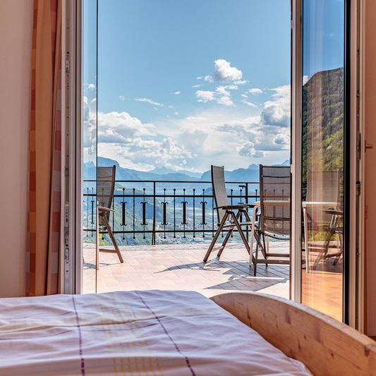 Superior double room with terrace (and dog)